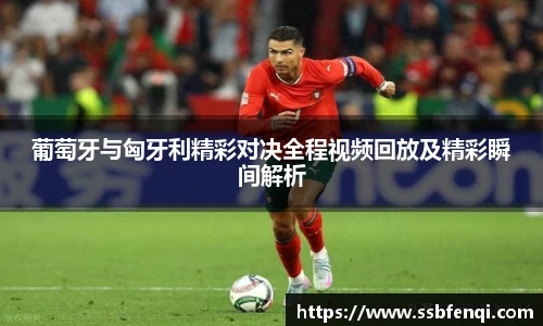 葡萄牙与匈牙利精彩对决全程视频回放及精彩瞬间解析